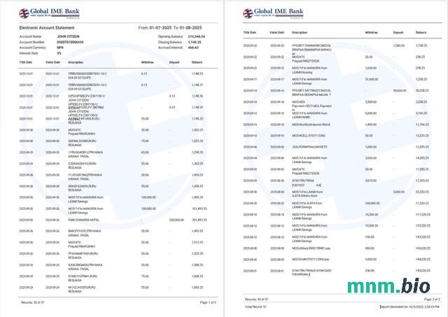 India Finvu Bank Ltd. wyciąg z konta Word i szablon PDF, 2 strony